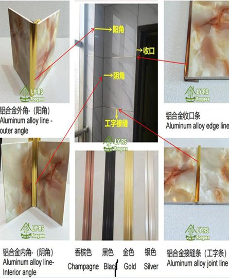 图片14